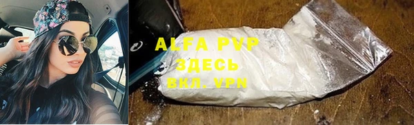 прущие грибы Алексеевка