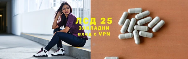 прущие грибы Алексеевка