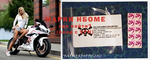 прущие грибы Алексеевка